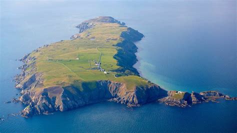 Lundy Island wild bird numbers soar - BBC News