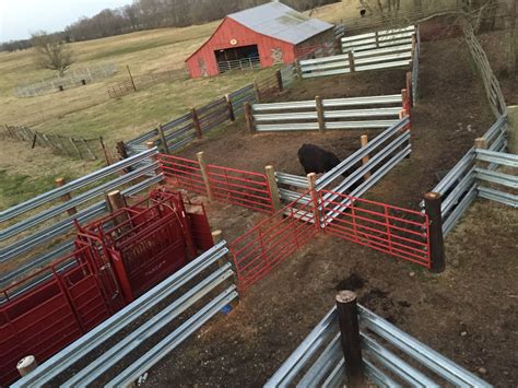 fencing for cattle in 2024 | Cattle corrals, Livestock barn, Livestock fence