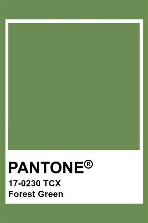 PANTONE 17-0230 TCX Forest Green #pantone #color | Pantone green colors, Pantone green shades ...