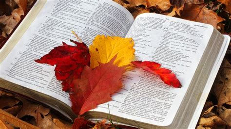 Autumn leaves and Bible verses | Guideposts