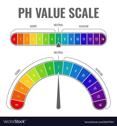 Ph alkaline acidic scale indicator water balance Vector Image , #affiliate, #acidic, #scale, #Ph ...