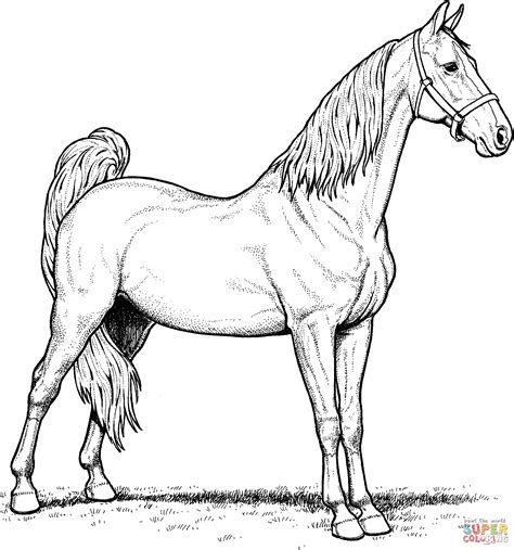 Realistic Horse Coloring Pages Paint Coloring Pages