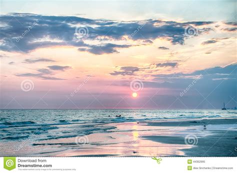 Sunset on Florida Beach stock image. Image of waves, wildlife - 44352995