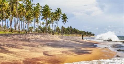 Your Ultimate Guide To Negombo Beaches In Sri Lanka