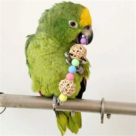 Bird Parrot Accessories Beads Bird Toys Pets Parrot Chew Toys Bird Ladder Parakeet Swing ...