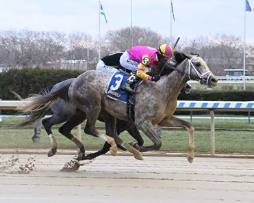 Tapit Trice - Horse Profile - BloodHorse