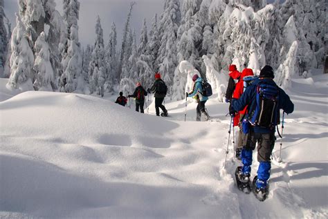 The Health Benefits of Snowshoeing | Mountain Trek Health Reset Retreat