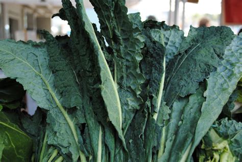 Dino Kale and Arugula Salad with Spice-Roasted Baby Carrots : Foodwise