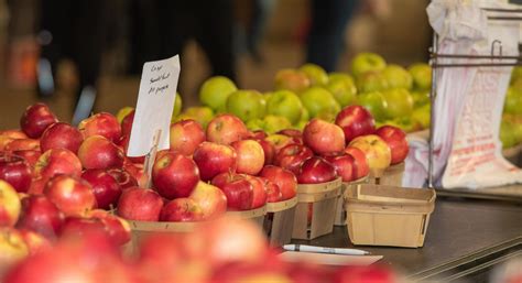 Royal Oak Farmers Market still going strong after 96 years – The ...