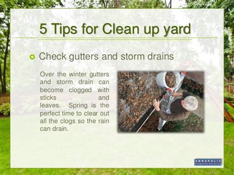 Spring yard clean up tips