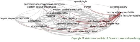 Murray Valley Encephalitis disease: Malacards - Research Articles ...