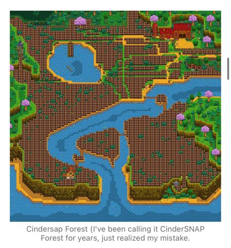 Cindersap Forest NPC Paths | Stardew valley, Stardew valley layout, Valley