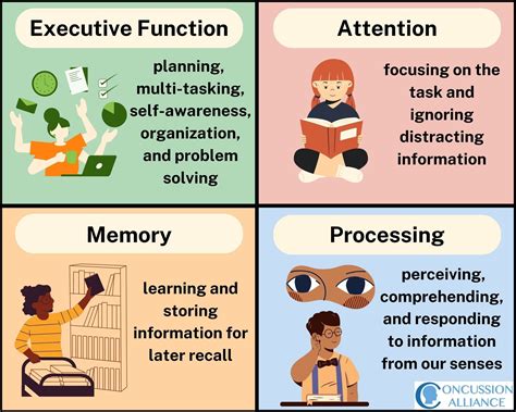 Cognitive Dysfunction After Concussion — Concussion Alliance