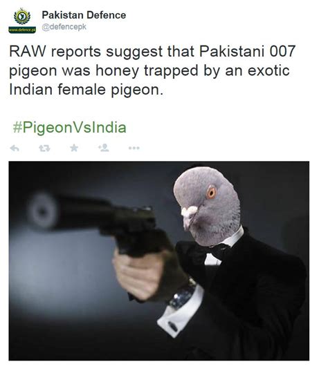 Pakistanis respond after 'spy pigeon' detained in India - BBC News