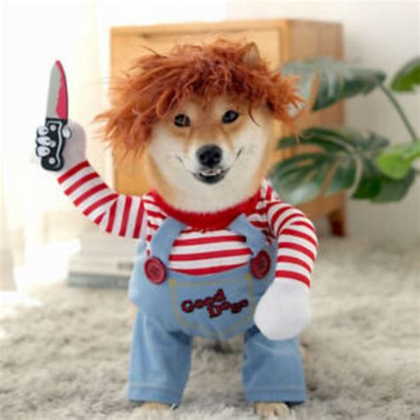 CHUCKY PET COSTUME Funny Pet Costume, Chucky Dog Costume, Pet Cosplay ...