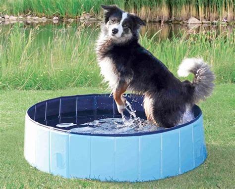 Puppy Pool - The Portable Pet Pool – PrettyLittleSavings in 2020 | Dog pool, Puppy pool, Pet dogs