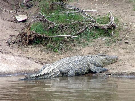 Beautiful Sceneries of Kenyan Republic: The Lake Turkana In Turkana County