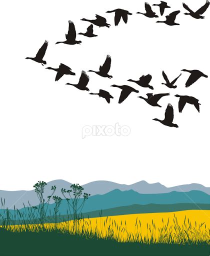 Free Migrating Animals Cliparts, Download Free Migrating Animals ...