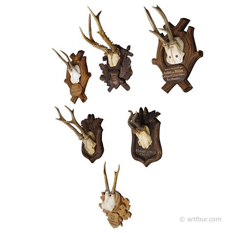 A set of six antique Black Forest hunting trophies from Germany ...