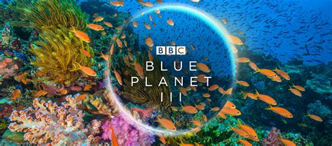 Could you be a part of Blue Planet III | BBC Earth