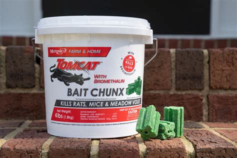 Best Rat Poisons (2023 Review) This Old House, 59% OFF