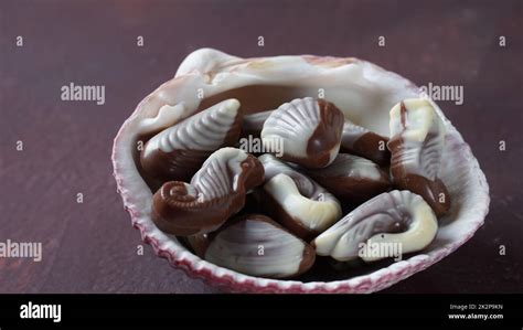 Belgian seashells traditional chocolate candies. Belgian milk chocolate ...