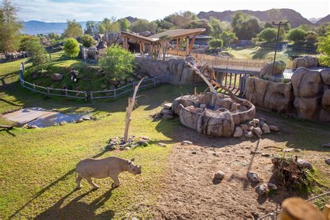 Echo Digital | Virtual Tour of Rhino Savanna at The Living Desert Zoo ...