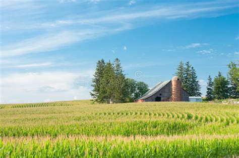 Corn Field and Farm. In Iowa , #Ad, #Field, #Corn, #Iowa, #Farm #ad | Iowa farms, Iowa travel ...