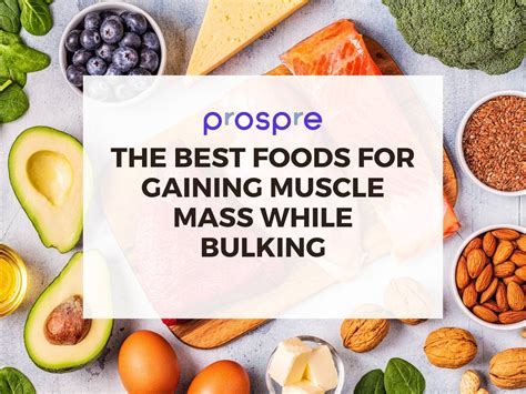 The Best Foods for Gaining Muscle Mass While Bulking