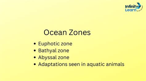 Ocean zone :Euphotic zone, Bathyal zone, Abyssal zone ||Science || - YouTube