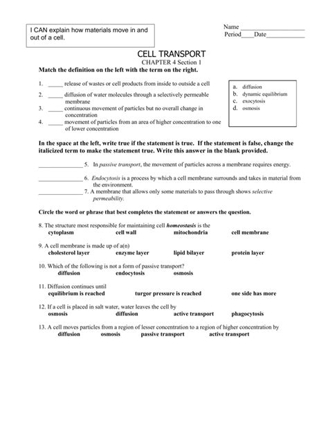 Active And Passive Transport Worksheet – E Street Light