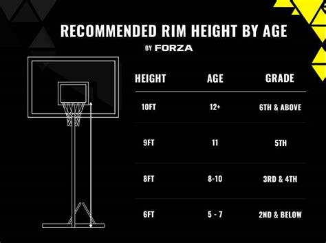 Official Nba Basketball Rim Height | informacionpublica.svet.gob.gt