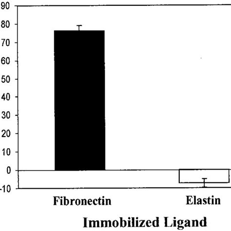 Structural organization of the fibronectin-binding proteins of S ...