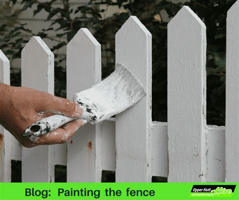 Painting the fence - Upper Hutt Hire