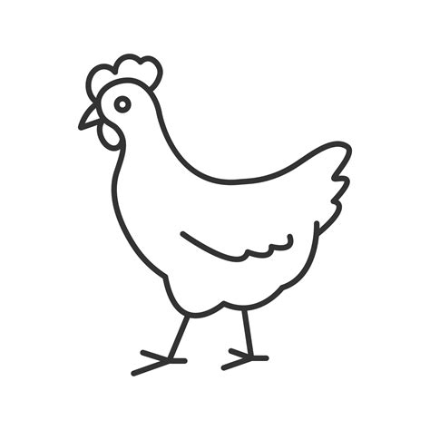 Chicken linear icon. Poultry farm. Thin line illustration. Hen. Contour ...