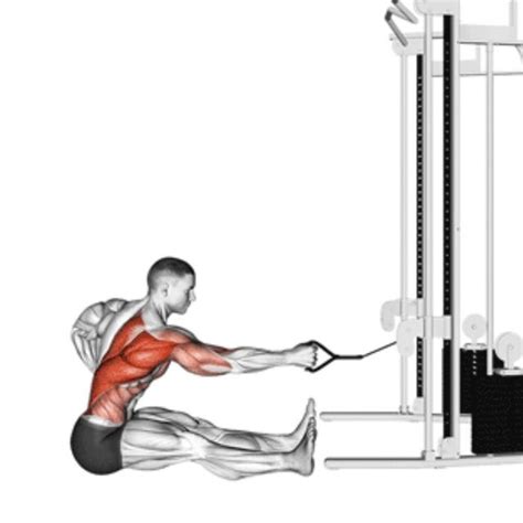 RIGHT SINGLE ARM TWISTING SEATED CABLE ROW by Jdan B. - Exercise How-to - Skimble