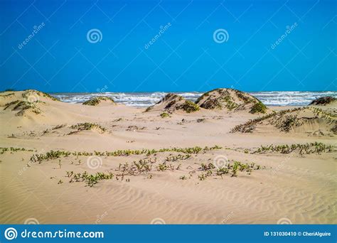 A Beautiful Soft and Fine Sandy Beach Along the Gulf Coast of Texas in South Padre Island, Texas ...