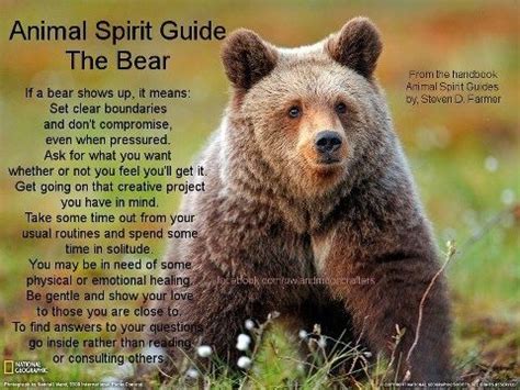 spirit animals symbols - Google Search | Bear spirit animal, Animal ...