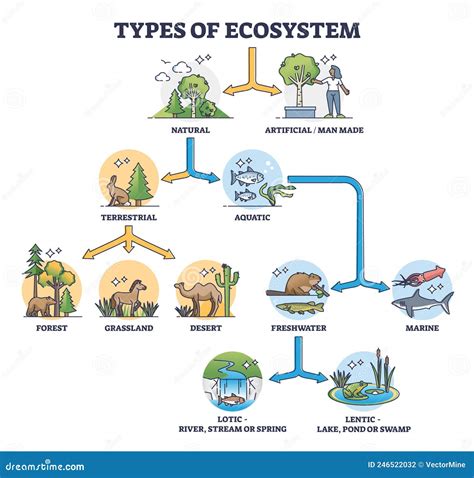 Ecosystem-diagram Royalty-Free Stock Photography | CartoonDealer.com ...