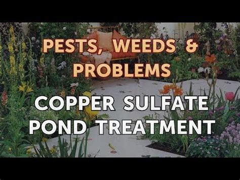 Copper Sulfate Pond Treatment - YouTube