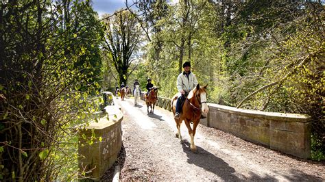 Horse Riding On The Grounds | Luttrellstown Castle Resort