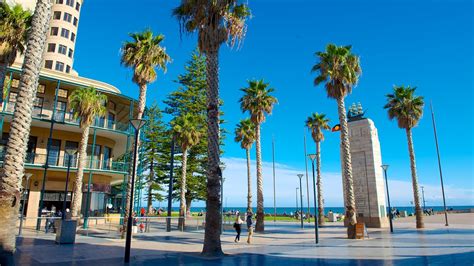 Glenelg Beach Vacations 2017: Package & Save up to $603 | Cheap Deals ...