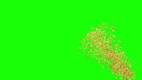 Confetti green screen | Luxury gold confetti party popper on Green screen - YouTube