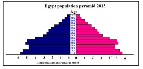 Egypt population pyramid at 2013 -(population in million male and ...