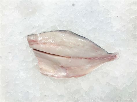 Pompano – Wild Ocean Direct