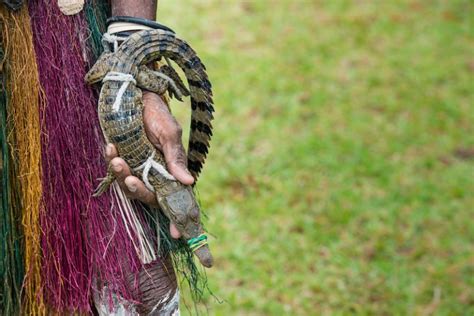 Sepik River Crocodile and Arts Festival - Paga Hill Estate - Port ...