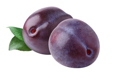 Free Plum PNG Transparent Images, Download Free Plum PNG Transparent Images png images, Free ...