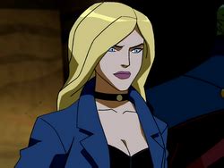 Black Canary | Young Justice Wiki | Fandom