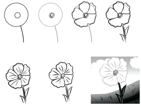 Step By Step Drawing Realistic Flowers at PaintingValley.com | Explore ...