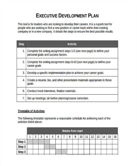 Executive Development Plan Template